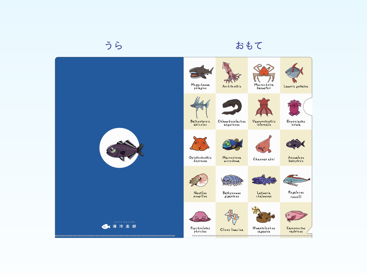 海洋楽部深海生物クリアファイル